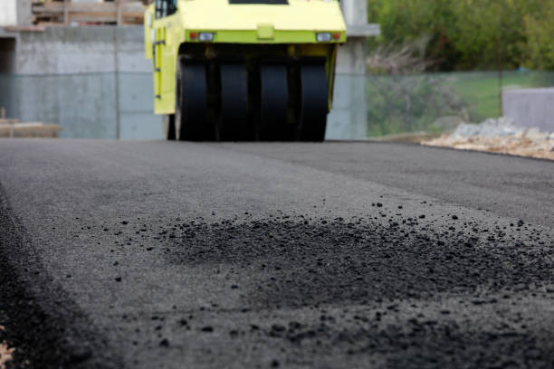 Best Professional Driveway Pavers  in Holmes Beach, FL